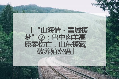 “山海情・雪域援梦”②：鲁中肉羊高原零伤亡，山东援藏破养殖密码